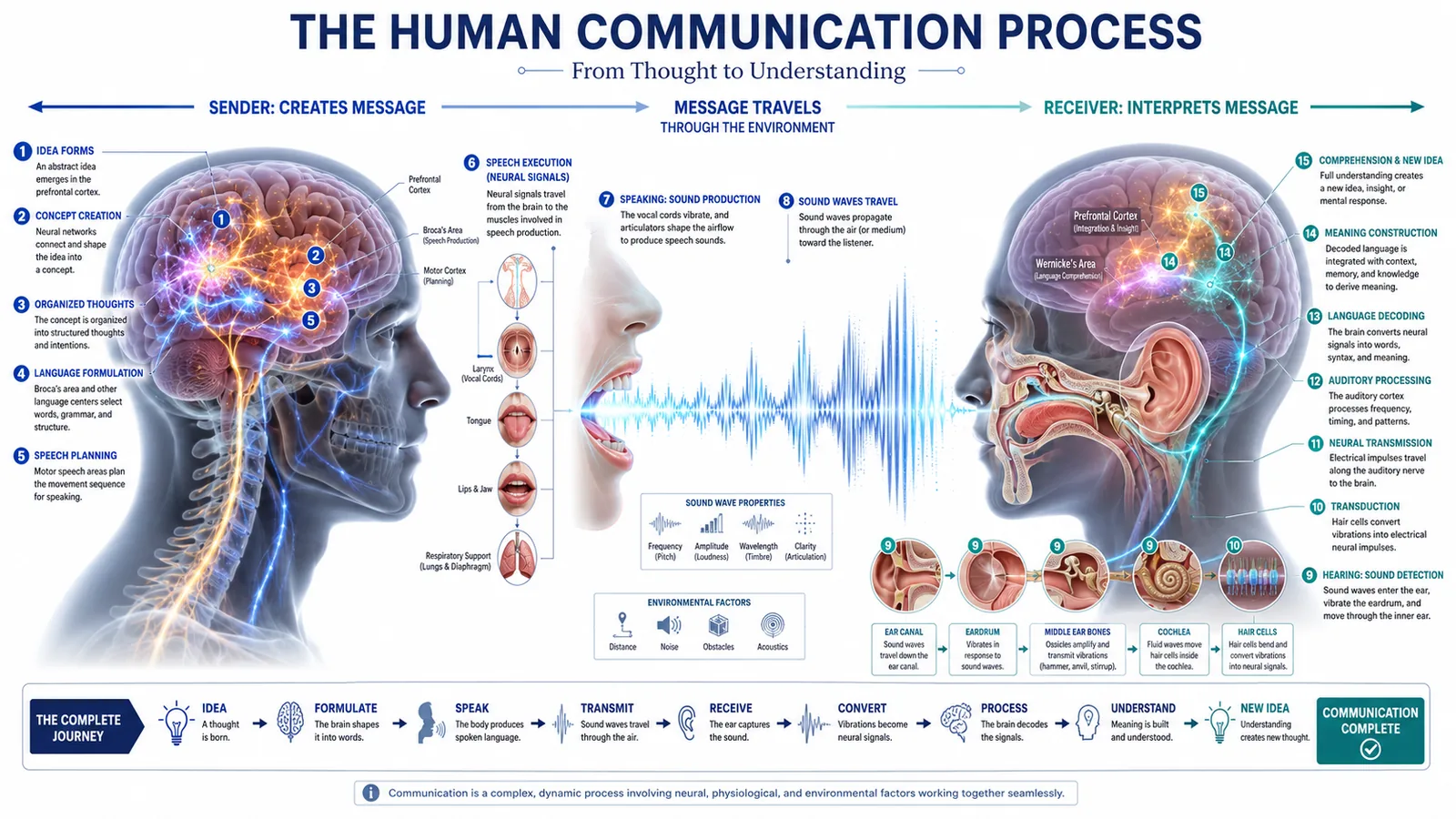 Diagram of the complete human communication process, from an idea forming to final understanding